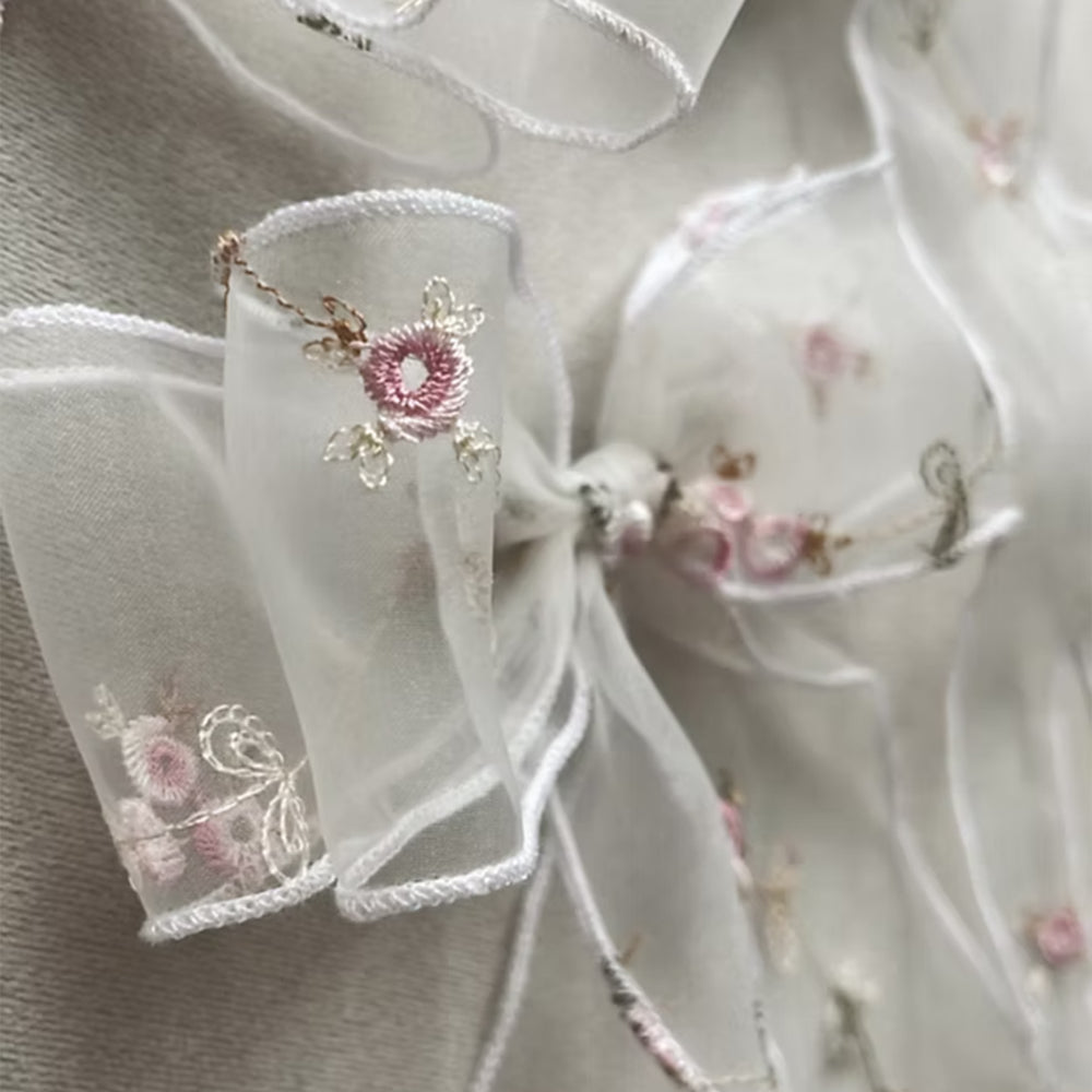 Ribbon Clip
